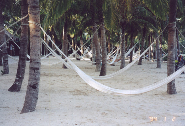 City of Hammocks