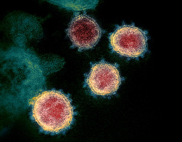 Online Resources for Coronavirus (COVID-19)