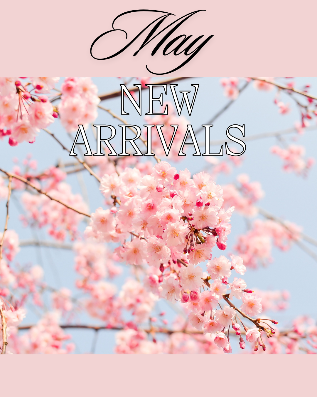 May 2026 New Arrivals