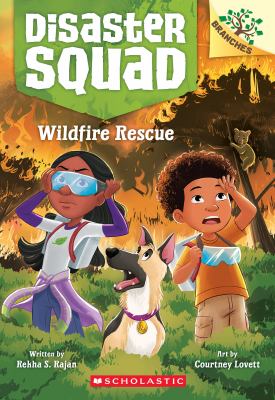 Cover of Wildfire rescue
