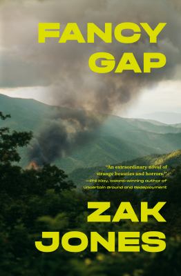 Cover of Fancy gap : a novel