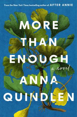 Cover of More than enough : a novel