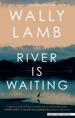 Cover of The river is waiting : a novel