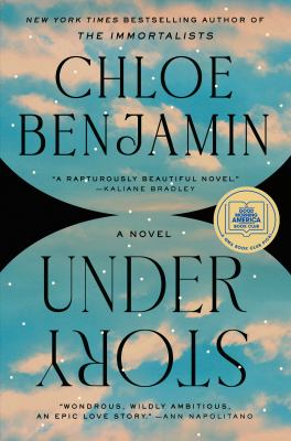 Under story : a novel by Benjamin, Chloe