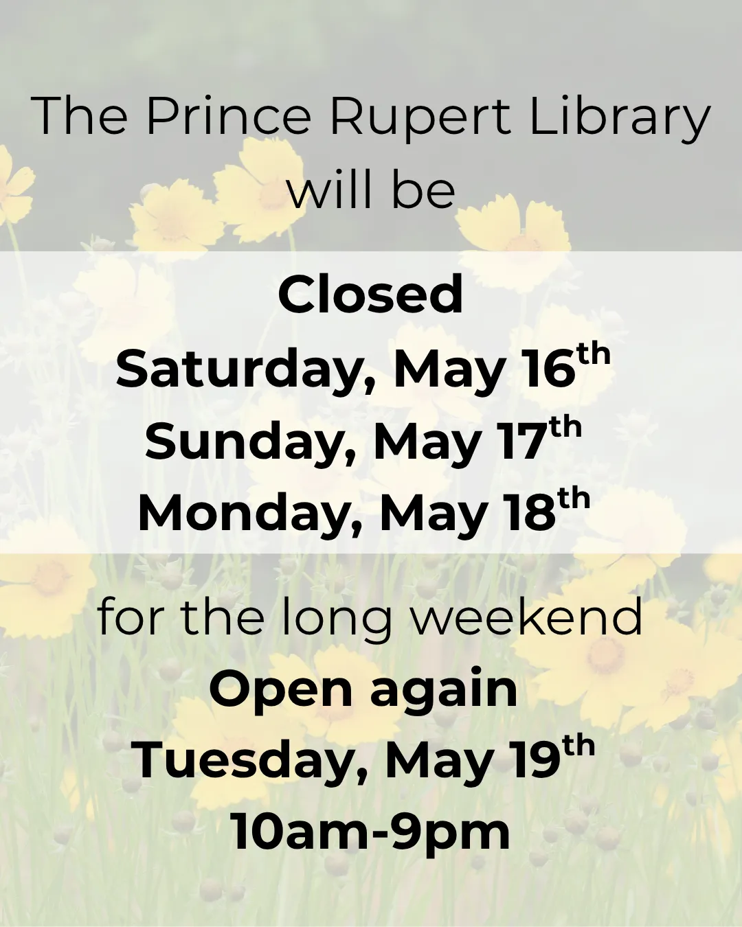 Prince Rupert Public Library long weekend closure notice on a yellow wildflower background. The library will be closed Saturday May 16th, Sunday May 17th, and Monday May 18th for the long weekend. Open again Tuesday May 19th, 10am to 9pm.